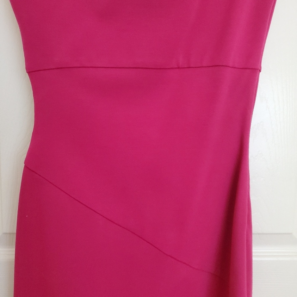 NWT Diane Von Furstenberg Bright Pink Cocktail dress w cinched waist, Size 4 - Picture 7 of 9